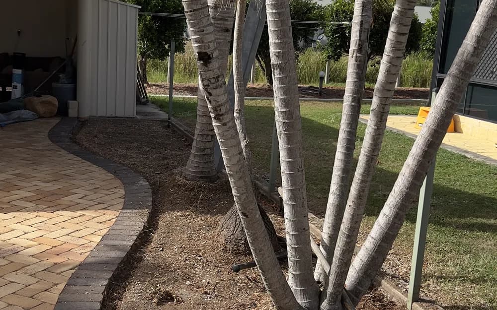 Commercial Landscaping project by CQ Property Solutions