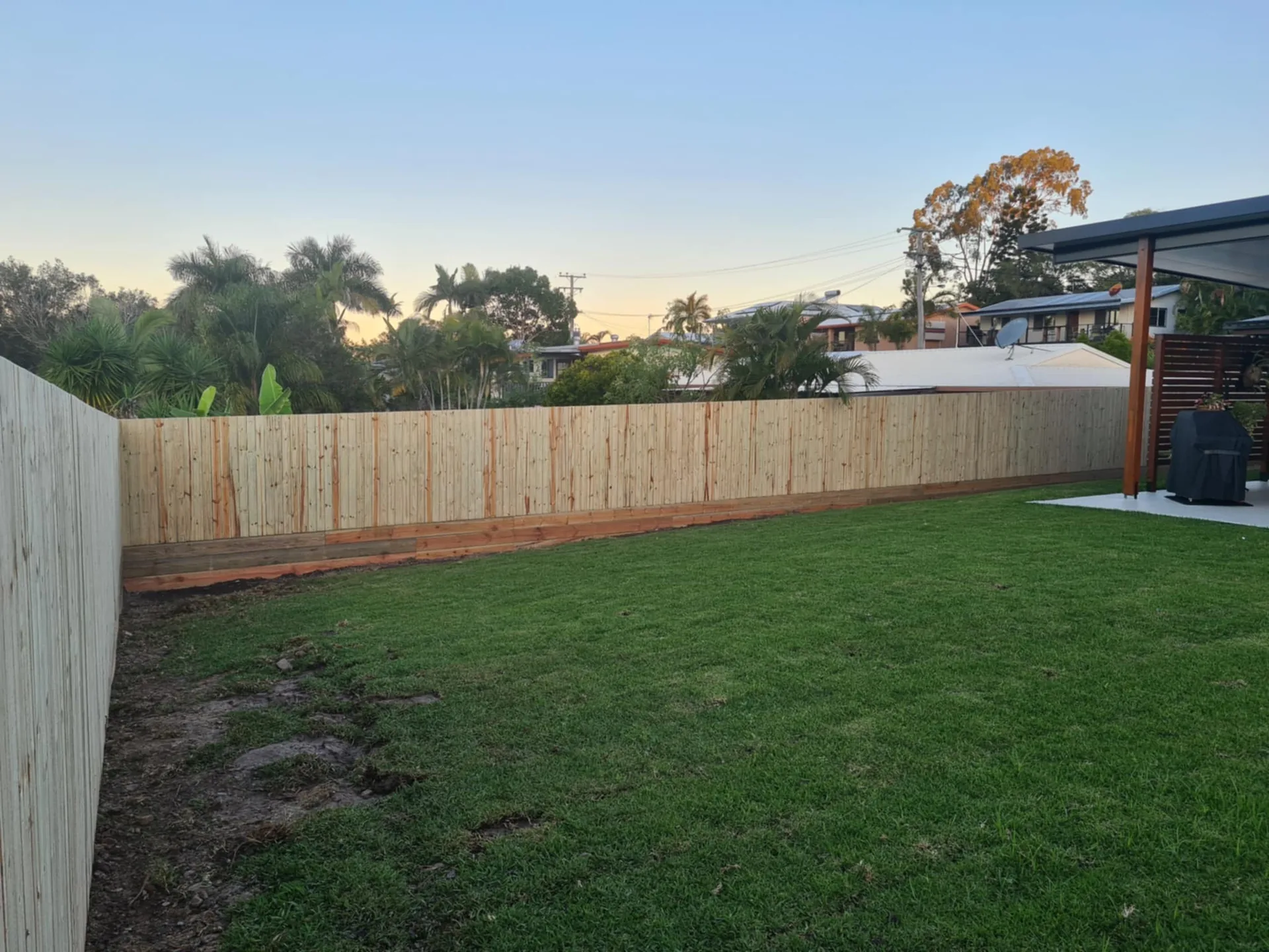 Established backyard lawn and fencing