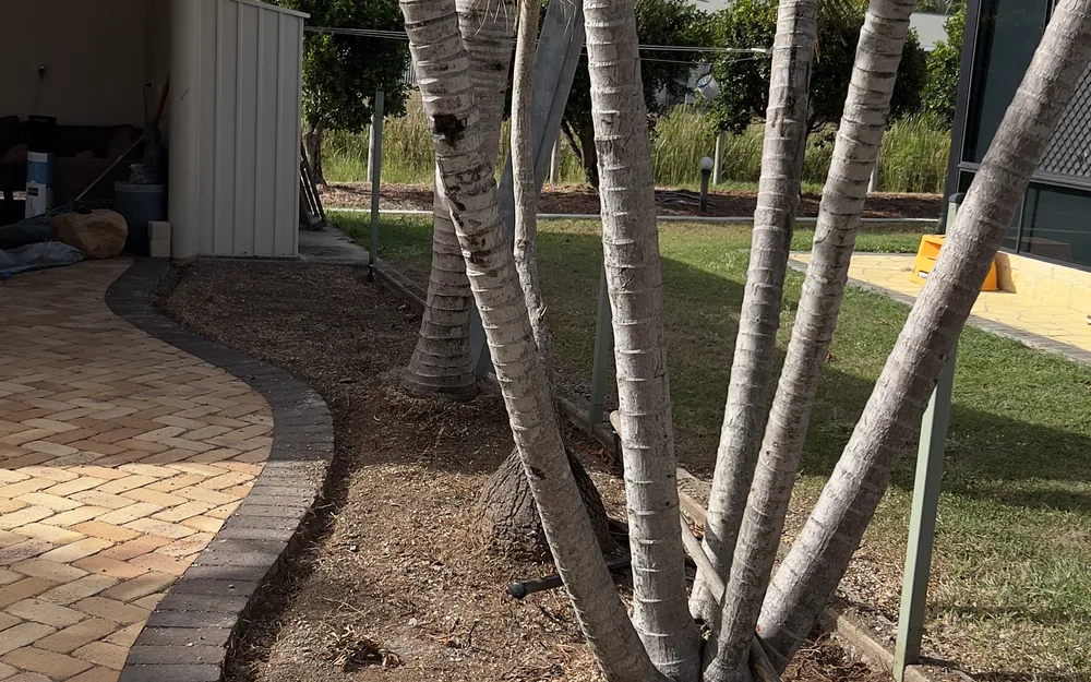 Commercial Landscaping project by CQ Property Solutions