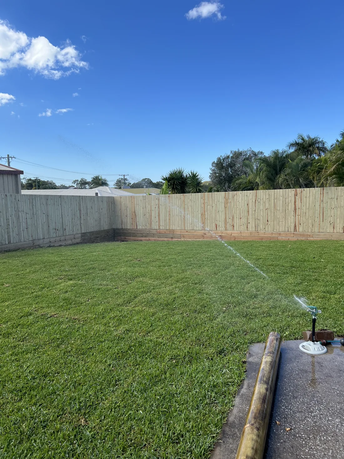 Freshly turfed backyard with irrigation